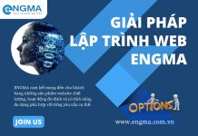 Công ty lập trình web theo yêu cầu ENGMA